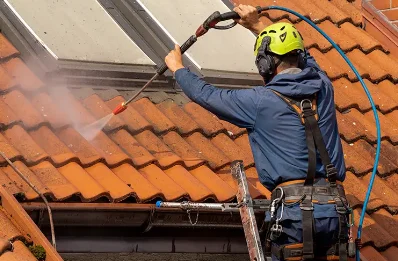 Démoussage et hydrofuge de toiture au Puy-Notre-Dame